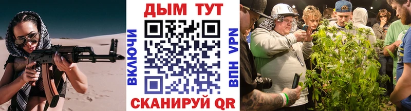 Купить закладки  Вязьма  Конопля White Widow 